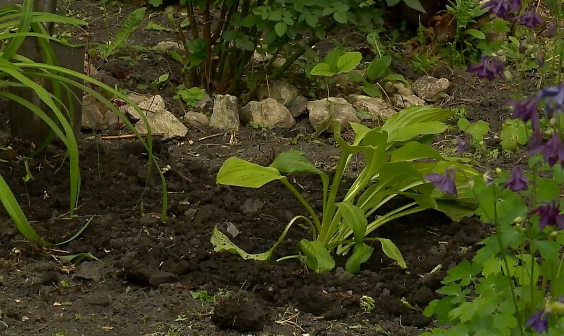 В Пензе благоустроили двор на улице Ворошилова